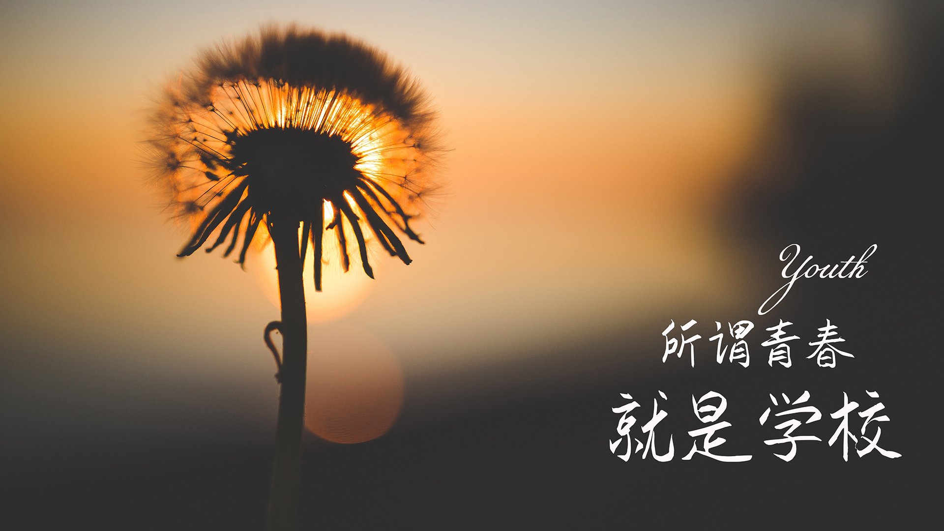 德甲青训项目中引入视觉注意力训练提升空间感知能力