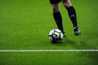 MILANSPORT下载-英超赛季中期疲劳恢复方案效果的多中心研究，英超休赛期几个月