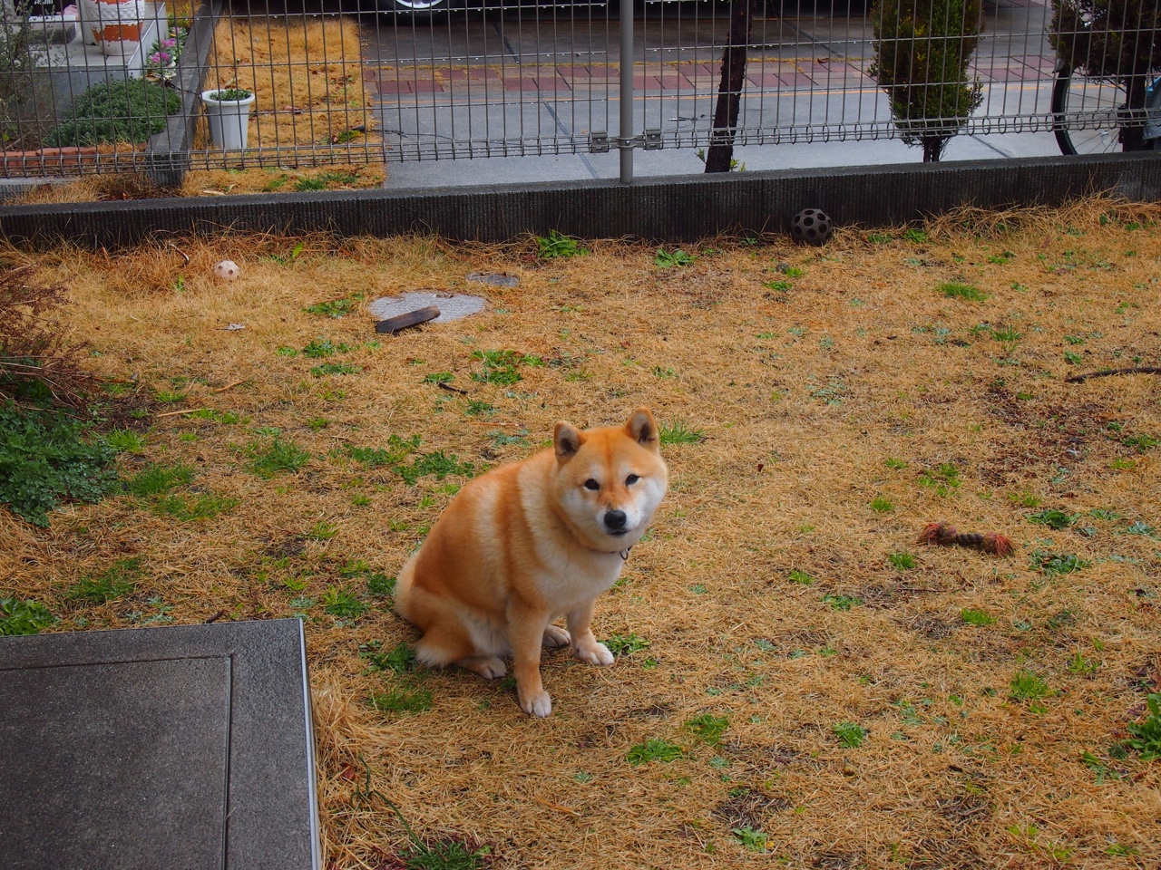 AC米兰-奥运村历史展览项目成为文化传播亮点，奥运村介绍