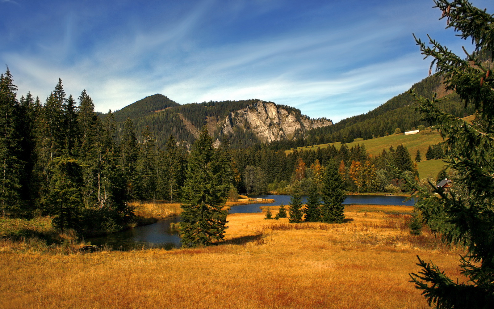 MILANSPORT下载-田径赛场速度与耐力挑战极限，田径速度耐力训练方法