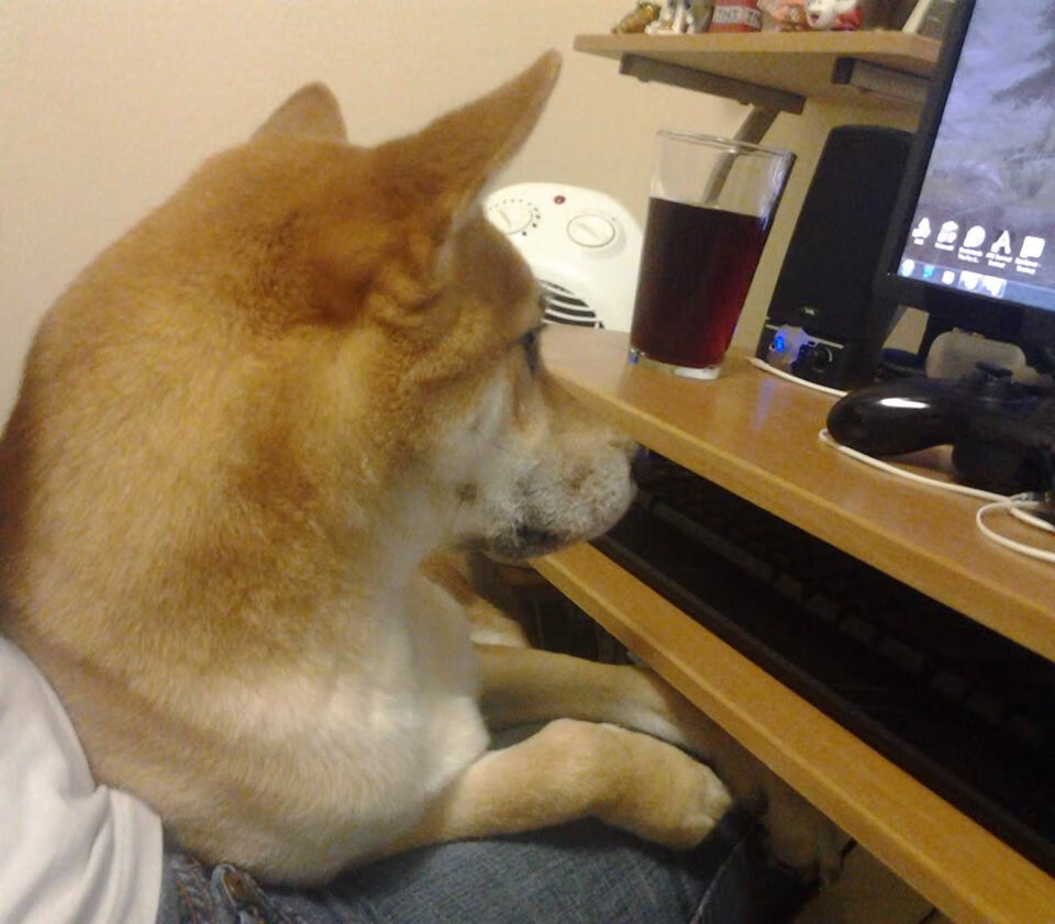 美国队赛制分析:团体赛制下如何打破传统阵容配置,美国队友谊赛