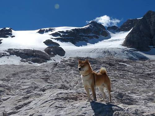 AC米兰-C罗刷新赛会纪录世界杯小组赛，c罗参加2022年世界杯