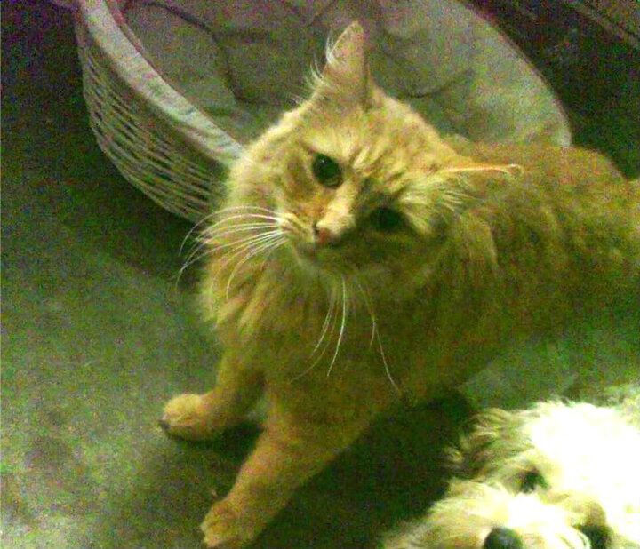 体育新闻中心青少年赛事报道，青少年体育赛事网