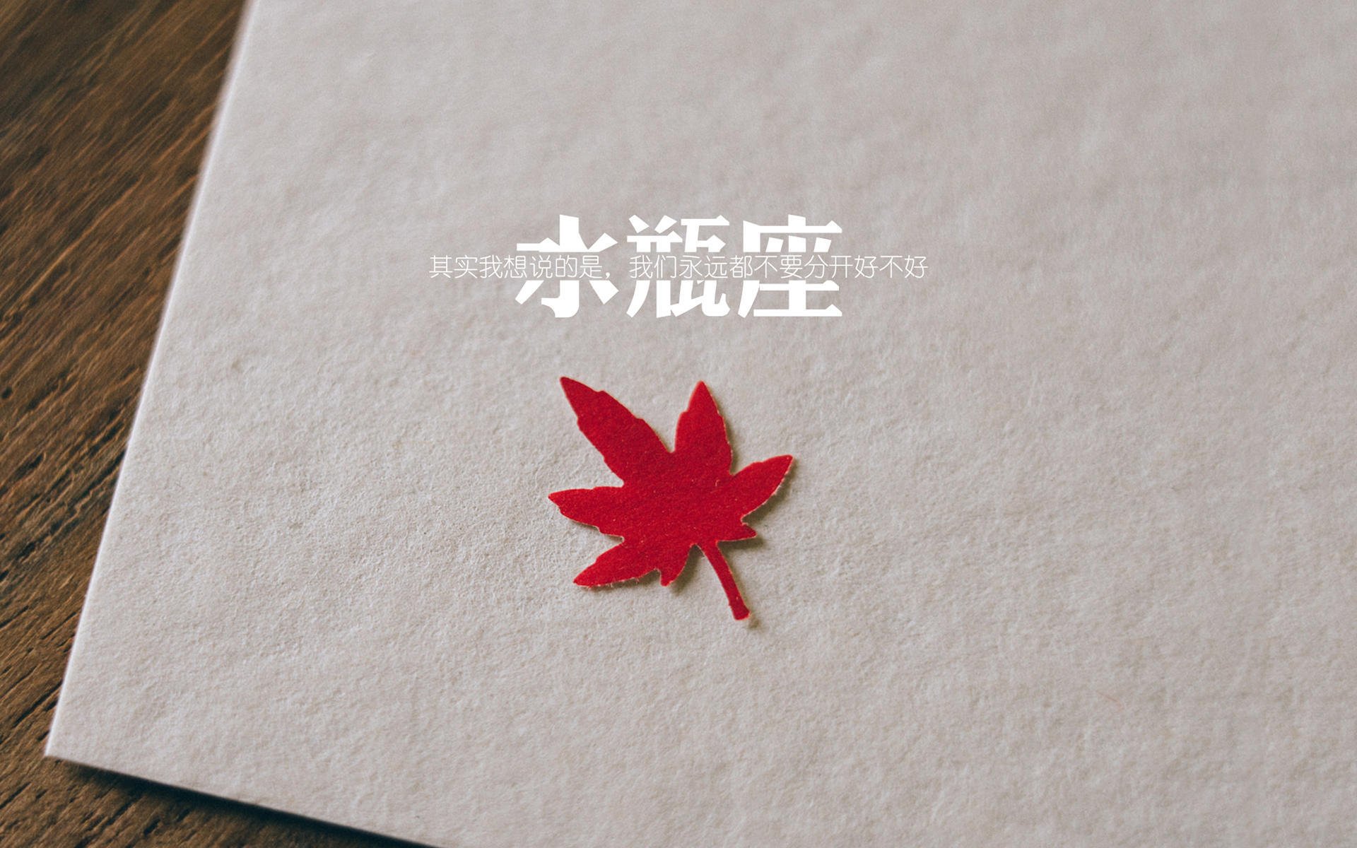 女子足球人才结构优化中场核心涌现多位新人，女子国家足球队员