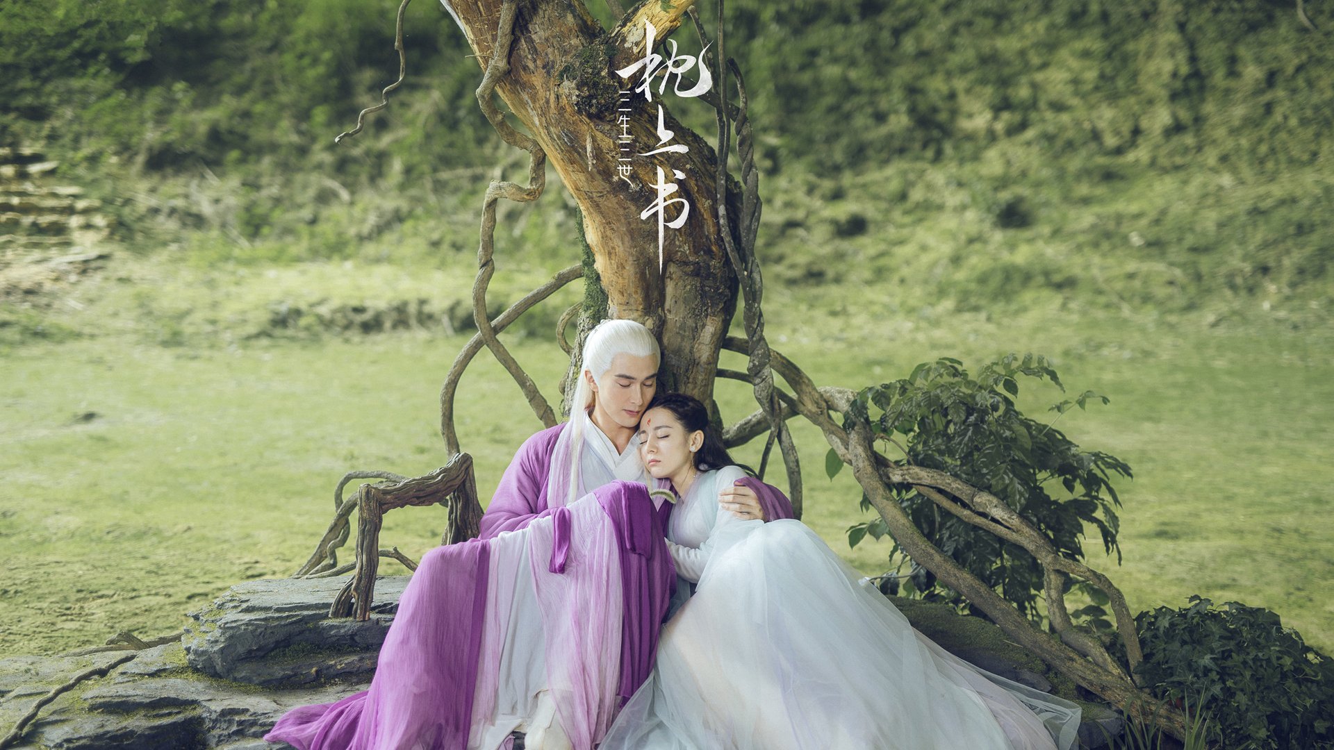 数字化转播技术推动足球赛事全球同步直播,数字化转播的电视节目以哪几类为主