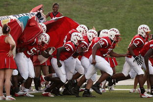 -球迷助威声点燃比赛氛围，球迷助威口号