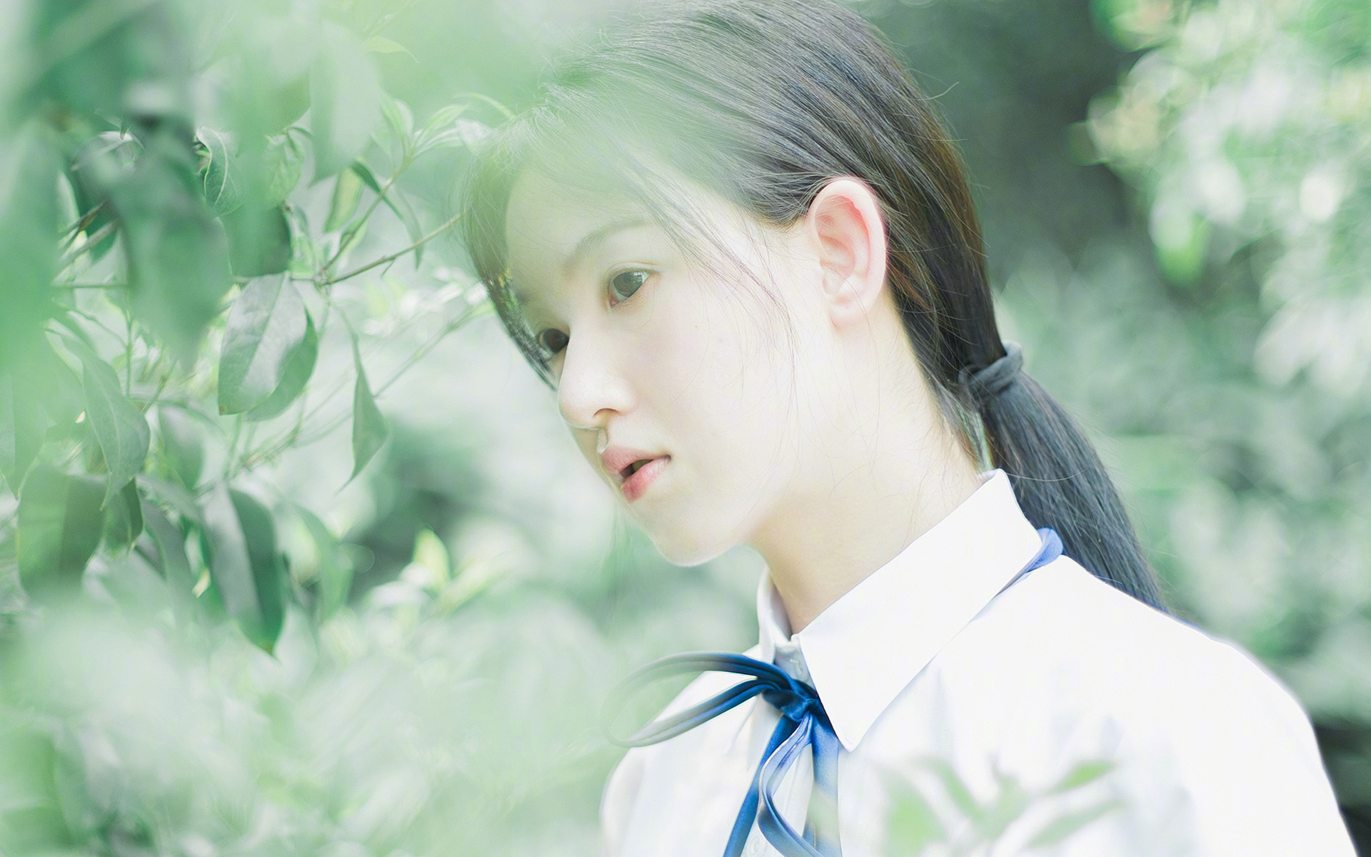 美洲杯逆境突围:只为荣耀拼尽全力,美洲杯揭幕战准98db in